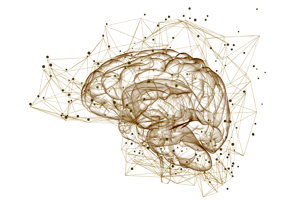 Brain scan, indicating different neurological centers